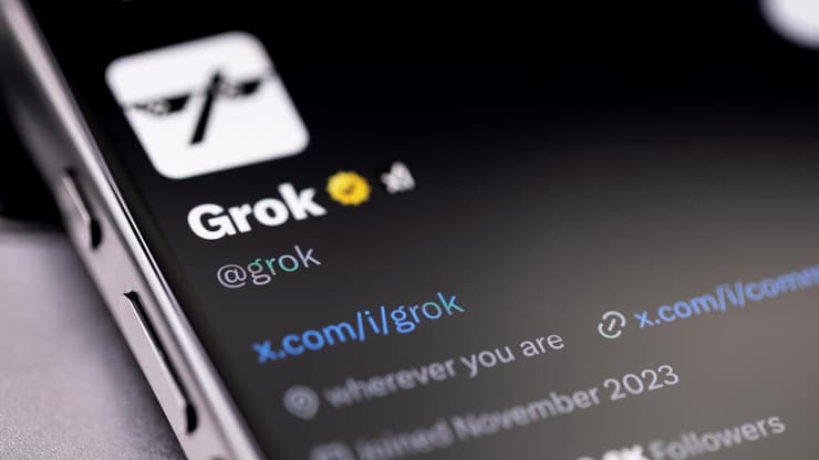 גרוק (צילום: Primakov/Shutterstock) גרוק