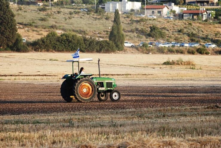 בשדות מגידו 