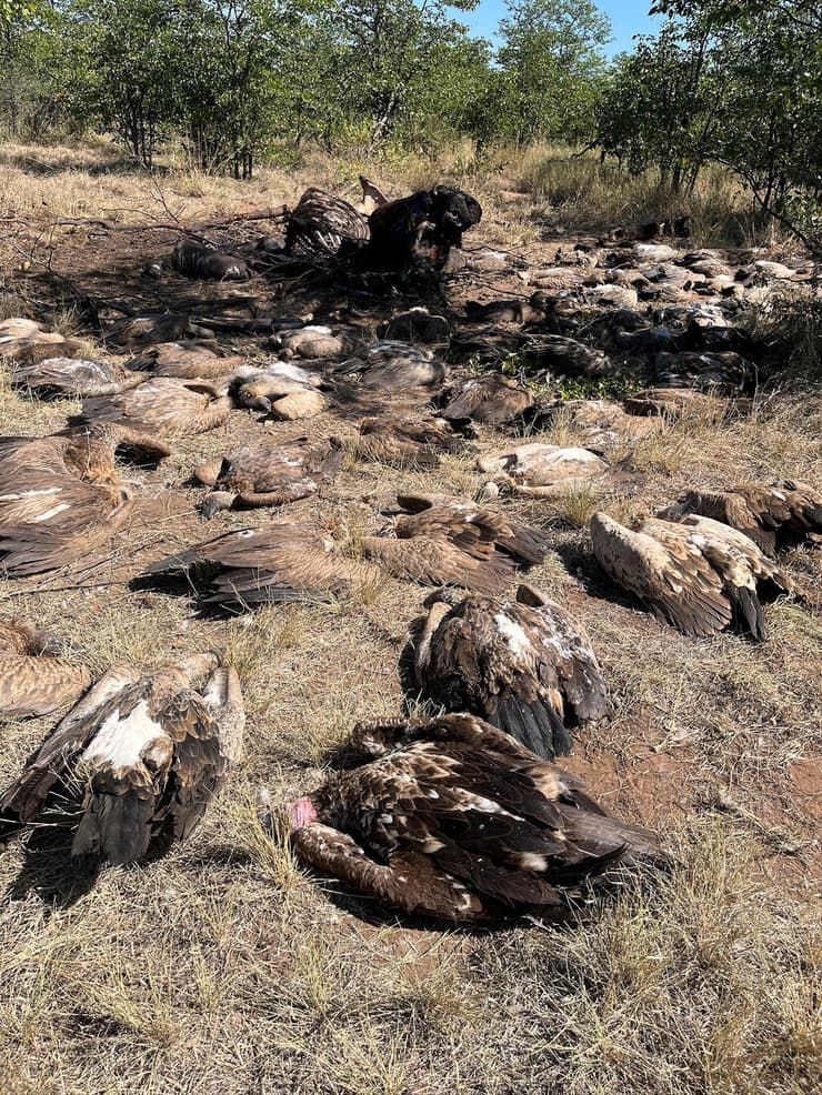 כמה מהנשים שהורעלו