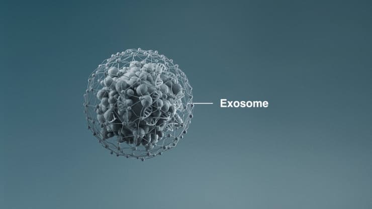 דרמלוג'יקה אקסוזומים 