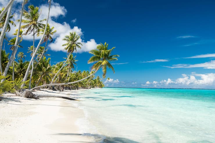 חוף PK9 (צילום: Ekaterina Grivet / shutterstock) חוף PK9