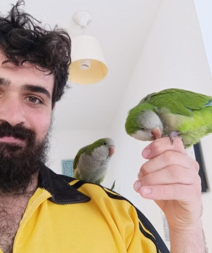 גיא שטיין