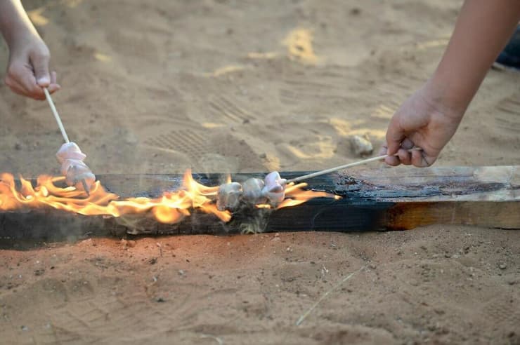 ילדי בתי הספר של ראשון לציון במדורה קהילתית