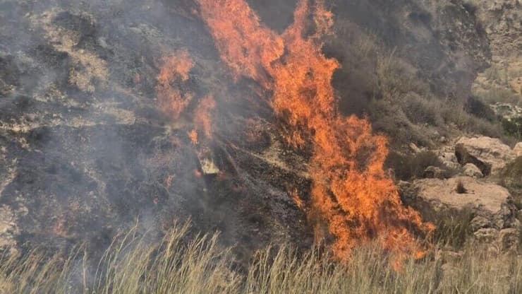 שריפות בחרובית 