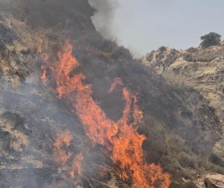 שריפות בחרובית 