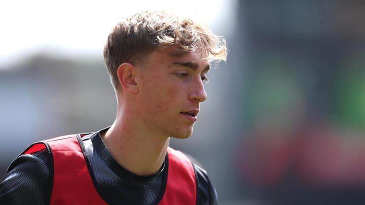 בלם בורנמות' דין הויסן