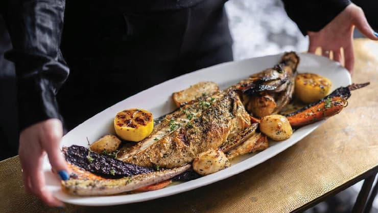 דולפין ים מנת בר ים פראי (צילום: אסף קרלה) דולפין ים מנת בר ים פראי