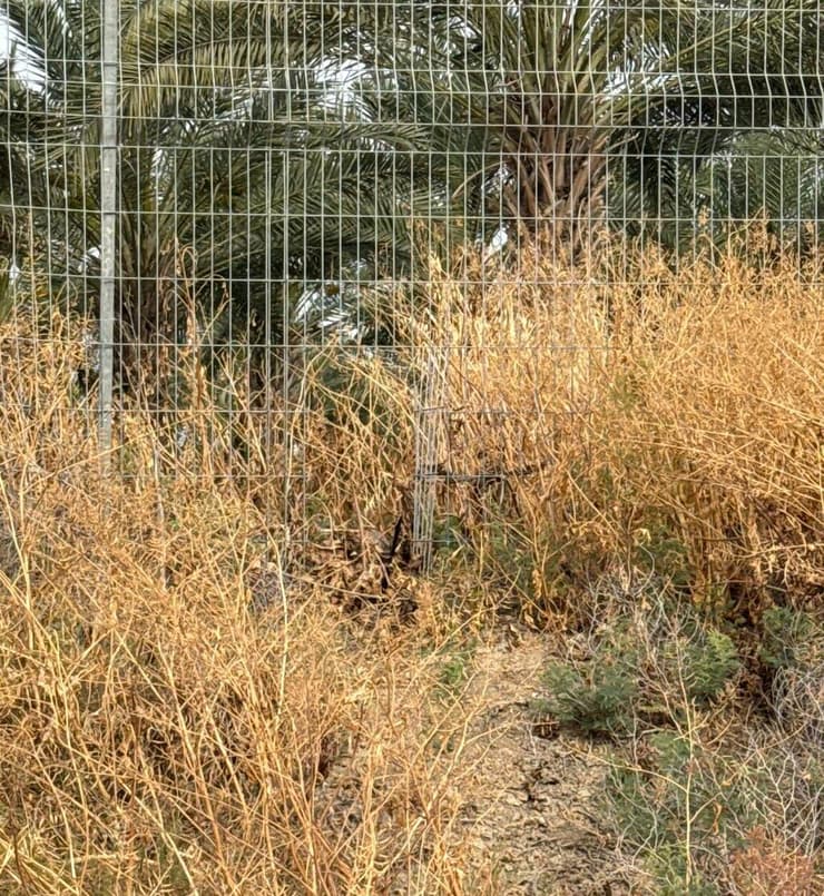שני חשודים חדרו לישראל דרך הגבול עם ירדן