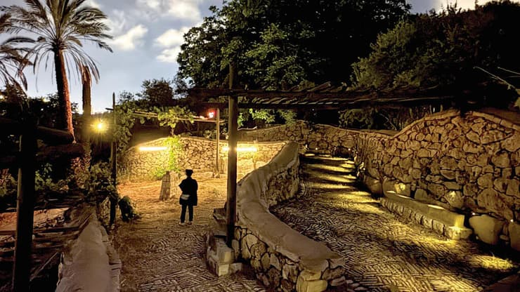 חמקמק, הסיור הלילי בעין יעל (צילום: באדיבות עין יעל) חמקמק, הסיור הלילי בעין יעל