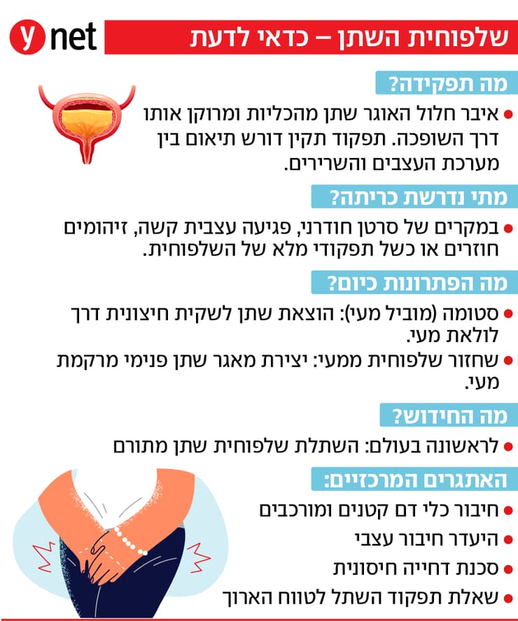 אינפו שלפוחית השתן אינפו שלפוחית השתן