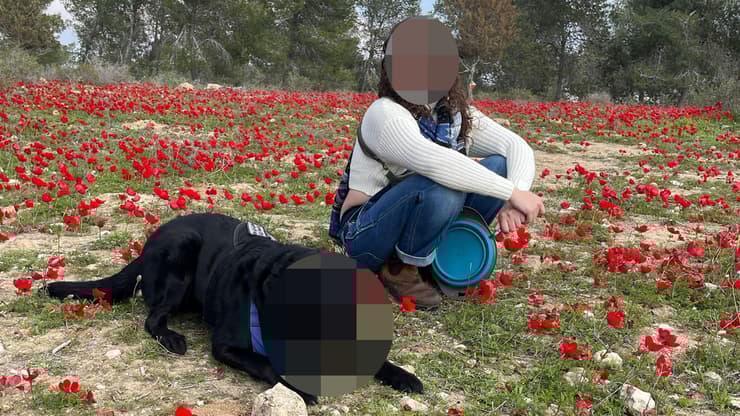 אור וכלב השירות. "בחיים שלי לא זכיתי לתגובה כל כך אלימה מילולית"    