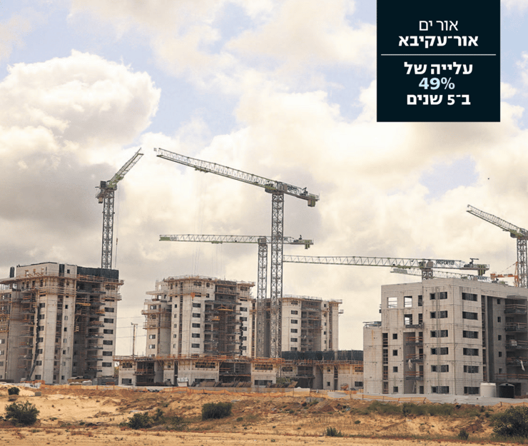 צילום: אלעד גרשגורן