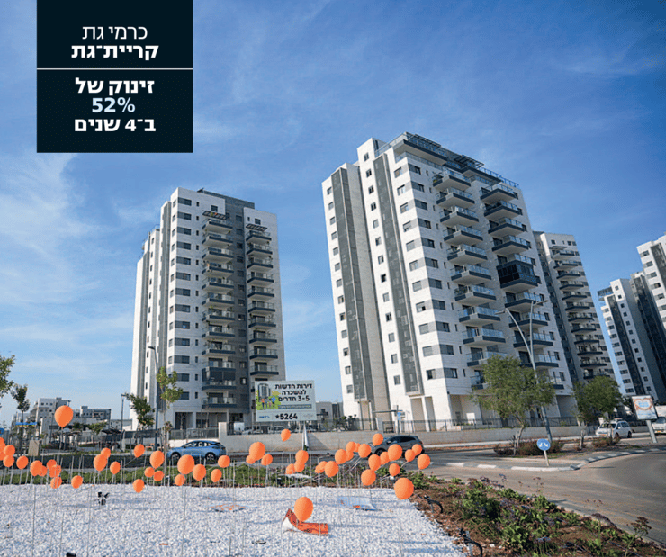 צילום: תומר שונם הלוי