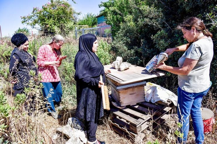 פרויקט ראשון מסוגו שמכשיר נשים בדואיות לתחומי הדבוראות (צילום: נחום סגל) פרויקט ראשון מסוגו שמכשיר נשים בדואיות לתחומי הדבוראות