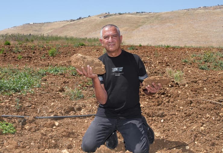 שמעון ביטון. מטעים יובשו