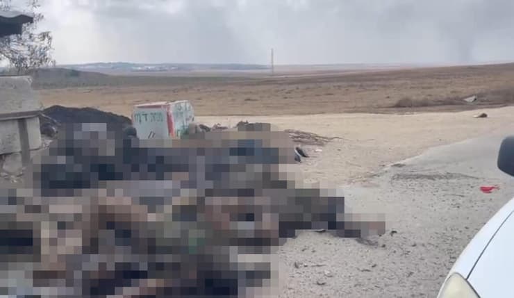 המחבלים המחוסלים מ׳חץ שחור׳