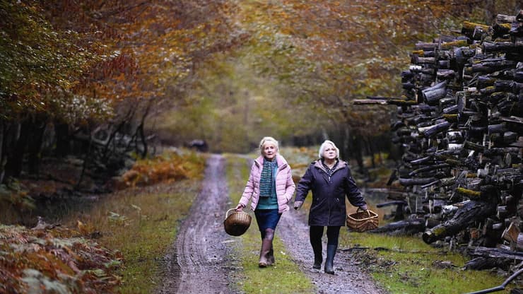 מתוך "כשקיץ הופך לסתיו"