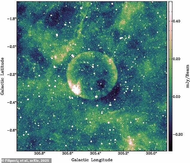 הדמיה (צילום: Filipović et al. 2025, arXiv) הדמיה