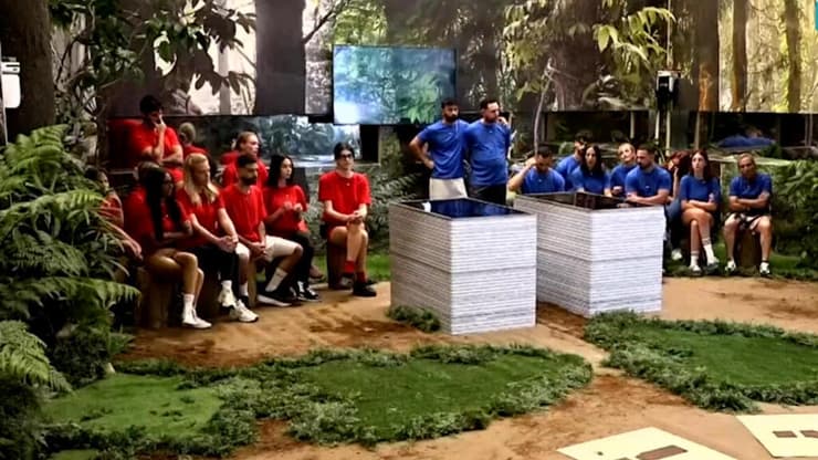 מתוך "האח הגדול"