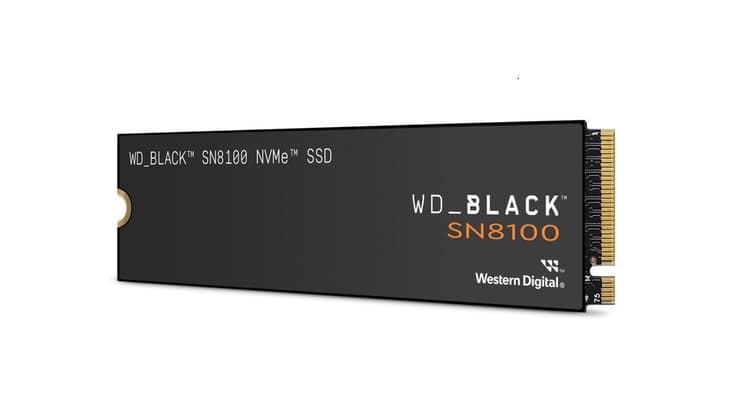 WD_BLACK™ SN8100 NVMe™ SSD