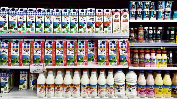 מוצרי חלב (צילום: shutterstock) yk14388322