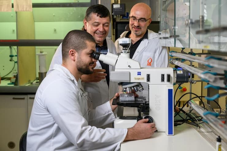 חוקרים מאוניברסיטת בן גוריון - אימון תאי T נגד סרטן