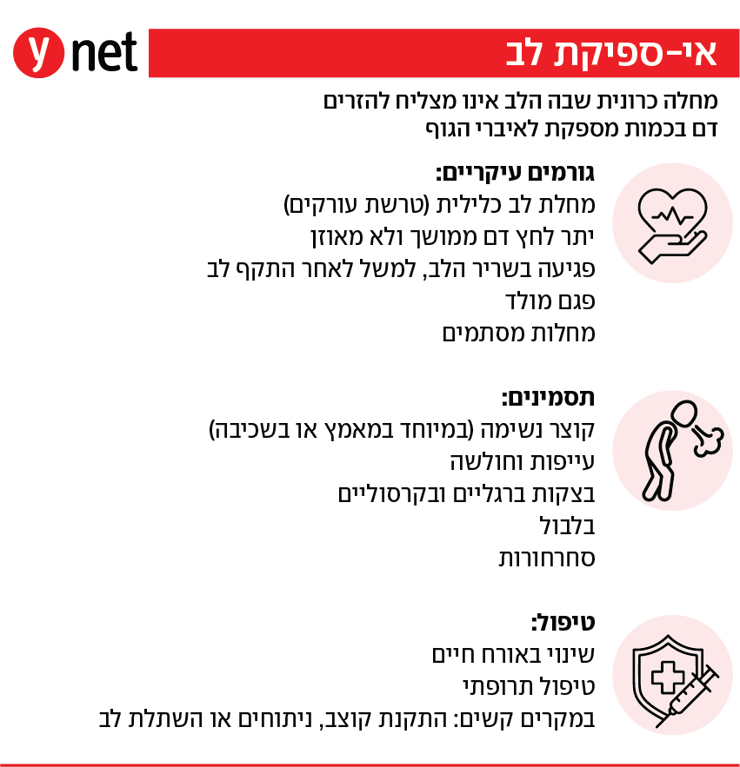 אינפו אי-ספיקת לב אינפו אי-ספיקת לב