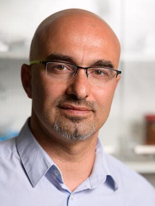 פרופ' מארק שוורצמן