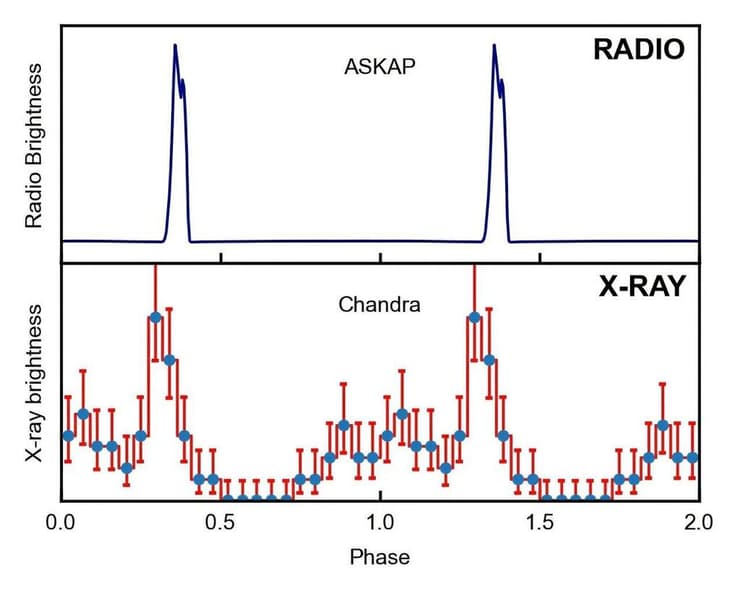 עקומות גלי רדיו וקרני רנטגן המראות כיצד הכוכב ASKAP J1832-0911 פועם בשני התדרים (איור: Ziteng (Andy) Wang, ICRAR) עקומות גלי רדיו וקרני רנטגן המראות כיצד הכוכב ASKAP J1832-0911 פועם בשני התדרים