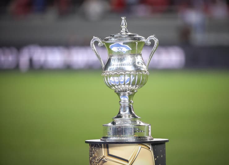 גביע המדינה