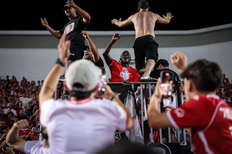 קינגס קאנגווה ביציע 