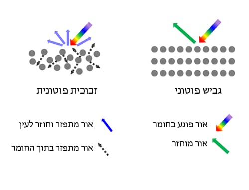 זכוכיות פוטוניות, כמו גבישי השעווה באוכמניות, מאופיינות בסידור אקראי של תתי-המבנים בחומר ויוצר צבע לא בוהק. אילוסטרציה של גביש פוטוני מול זכוכית פוטונית (איור: מתוך המאמר Yao et al., 2023, תרגום מכון דוידסון לחינוך מדעי) זכוכיות פוטוניות, כמו גבישי השעווה באוכמניות, מאופיינות בסידור אקראי של תתי-המבנים בחומר ויוצר צבע לא בוהק. אילוסטרציה של גביש פוטוני מול זכוכית פוטונית
