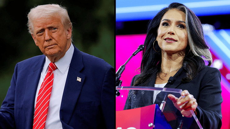 טולסי גבארד, דונלד טראמפ