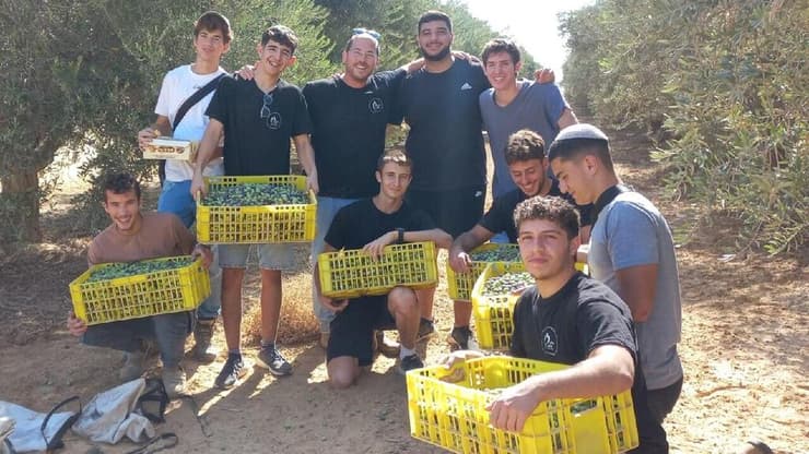 מתנדבי העמותה מסייעים לחקלאים בגבול הצפון. חיבור בין חילונים לדתיים ולאדמת ארץ ישראל (צילום: באדיבות עמותת "חיבורים בחקלאות") מתנדבי עמותת "חיבורים בחקלאות" נוטעים מטע בבקעת הירדן לזכר סרן הראל שביט