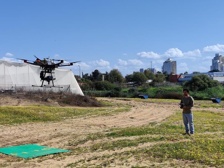 רועי שדה מאתר את זני החיטה שעמידים בפני יובש (צילום: רועי שדה, ד"ר איתי הרמן ופרופ' צבי פלג) רועי שדה מאתר את זני החיטה שעמידים בפני יובש