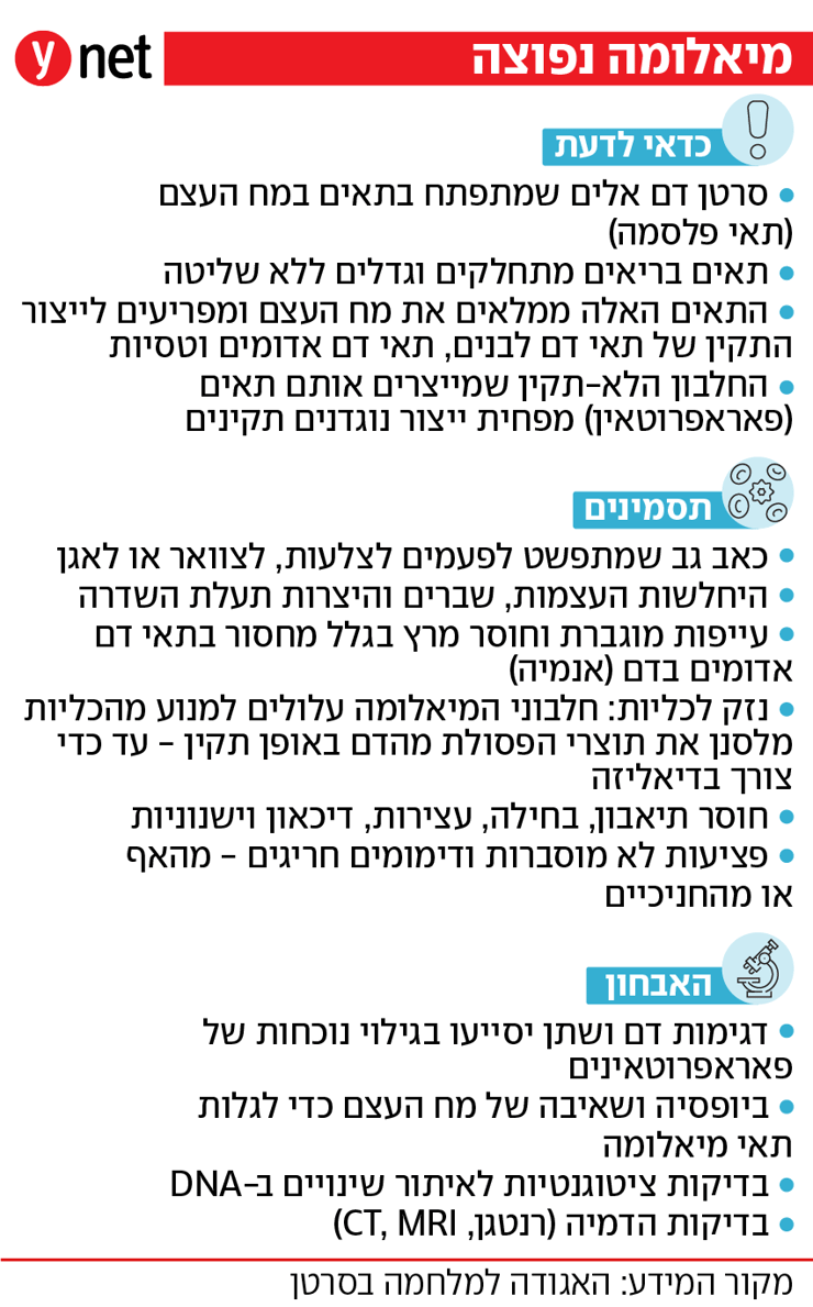 אינפו מיאלומה נפוצה