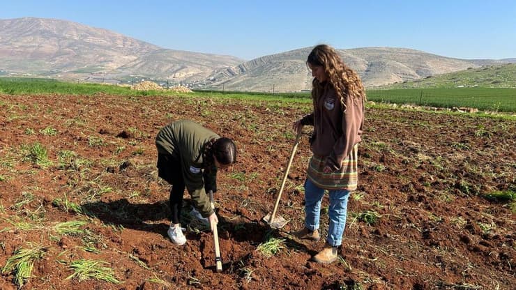 כרמי מרכוס וטל ולך, נוטעות את המטע לזכרו של הראל ז"ל. "הבנו שהפעם זה שונה" (צילום: באדיבות עמותת "חיבורים בחקלאות") מתנדבי עמותת "חיבורים בחקלאות" נוטעים מטע בבקעת הירדן לזכר סרן הראל שביט