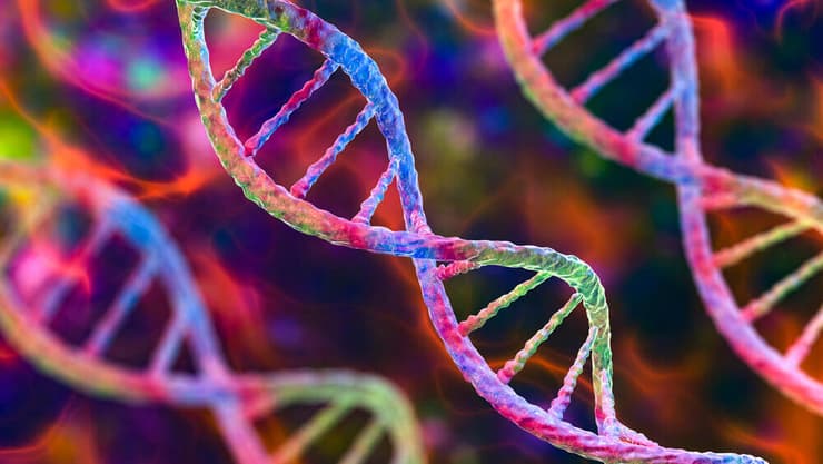 התסמונת נגרמת מפגם גנטי-תורשתי. אילטסטרציה (צילום: shutterstock) DNA