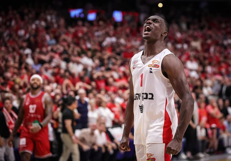 ווינר-שוט. הארפר (צילום: עוז מועלם) הארפר