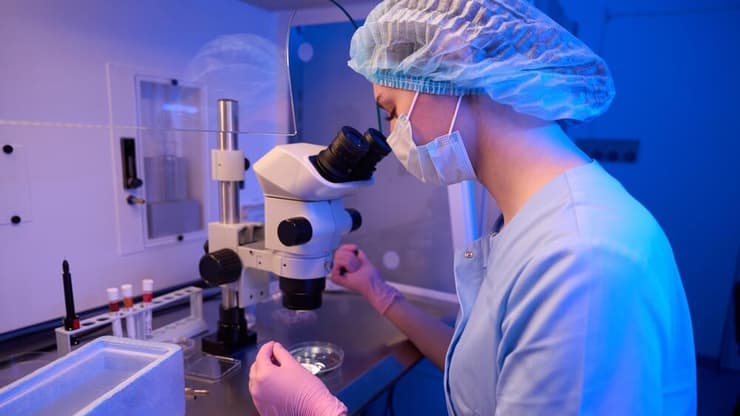 הפריה חוץ גופית