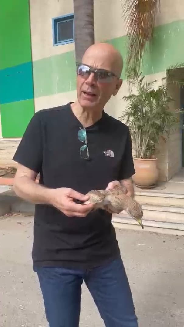 פרופ' אדיב גל והכרוון המצוי שחולץ ממחסן הגינון של מכללת סמינר הקיבוצים (צילום: באדיבות מכללת סמינר הקיבוצים) פרופ' אדיב גל והכרוון המצוי שחולץ ממחסן הגינון של מכללת סמינר הקיבוצים