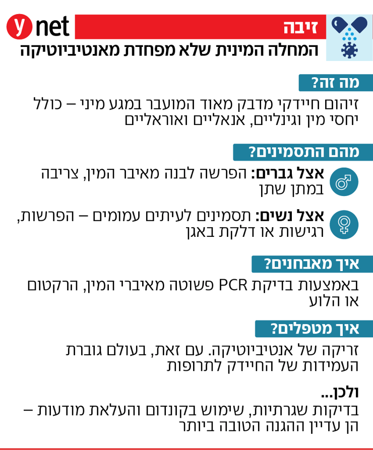 אינפו זיבה
