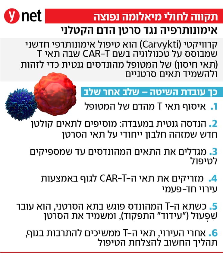 אינפו טיפול אימונותרפיה נגד מיאלומה נפוצה Carvykti