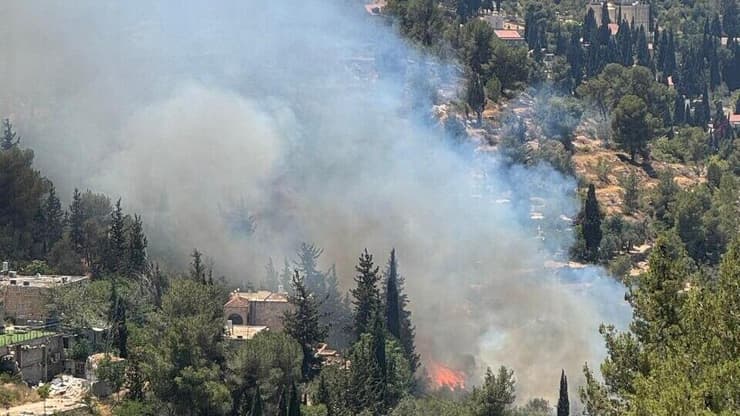 שריפת קוצים בעין כרם