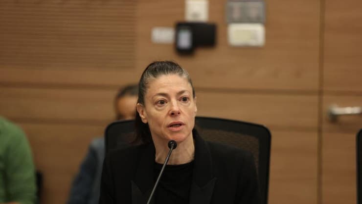 חוק איסור צריכת זנות בוועדת חוק חוקה ומשפט בכנסת