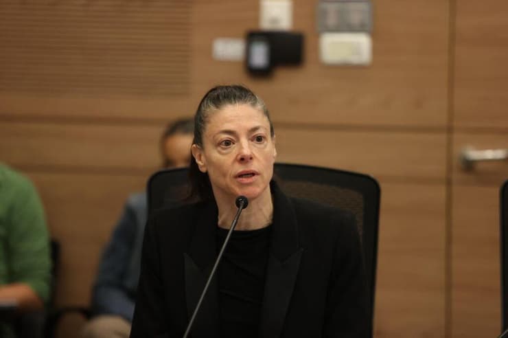 חוק איסור צריכת זנות בוועדת חוק חוקה ומשפט בכנסת