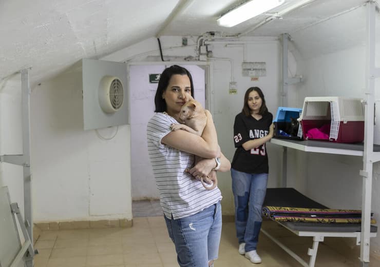 כניסה עם חתול למרחב המוגן