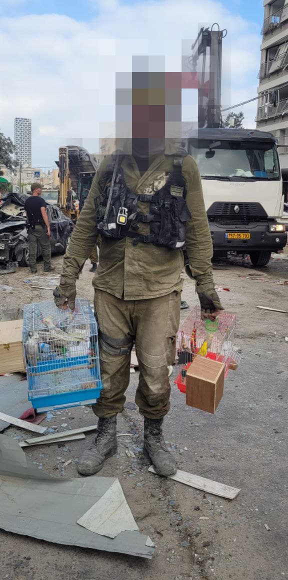 גם ציפורי מחמד חולצו מבניינים