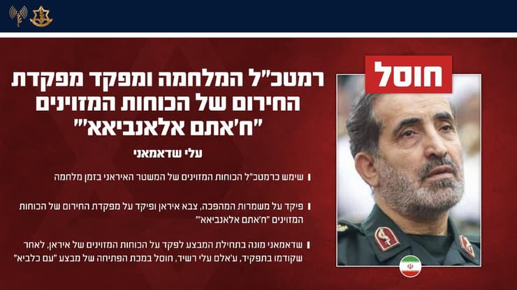 אינפוגרפיקה בנושא חיסולו של עלי שאדמאני (צילום: דובר צה"ל ) אינפוגרפיקה בנושא חיסולו של עלי שאדמאני