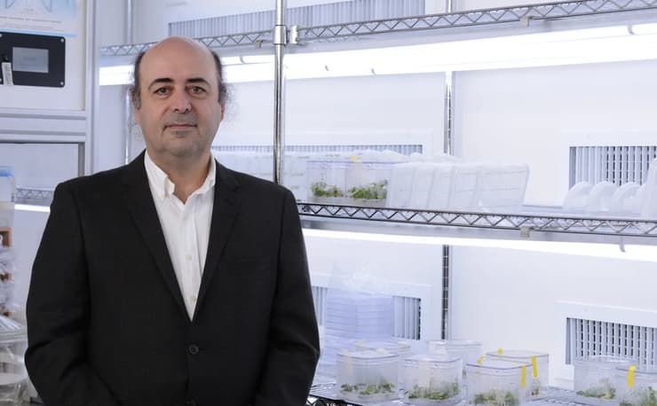 פרופ' אבי לוי (צילום: אייל יצהר, מכון ויצמן למדע) פרופ' אבי לוי